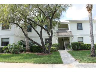 507 Meadow Ln, Oldsmar, FL 34677-2251