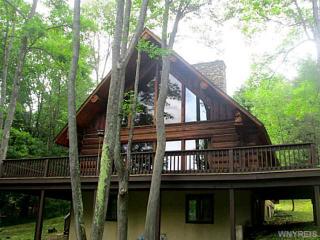 6674 Plum Creek Rd, Ellicottville, NY 14731-9503