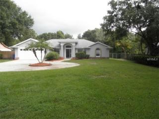 901 Hollyshore Dr, Lutz, FL 33548-5029