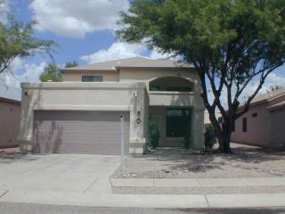 10025 Via Del Pasto, Tucson, AZ 85747-5204