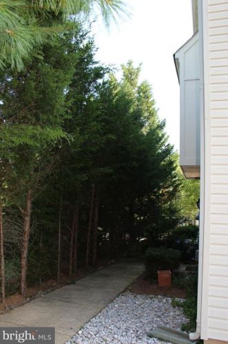 2568 Logan Wood Dr, Herndon VA  20171-4479 exterior