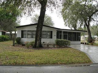 121 Winterberry Ave, Wildwood, FL 34785-9252