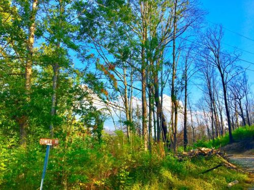 309 Tower Rd, Gatlinburg, TN 37738-5009