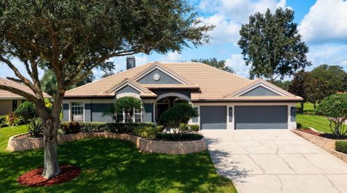 12723 Grand Traverse Dr, Dade City FL 33525-8230 exterior