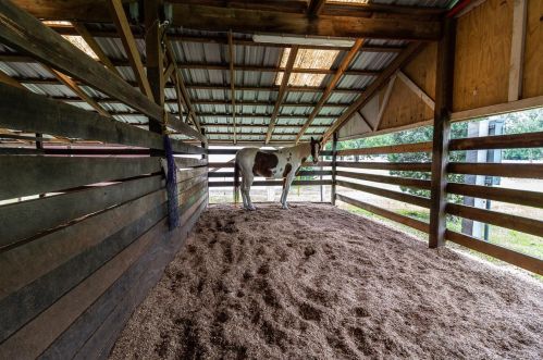 22528 Southshore Dr, Land O Lakes FL  34639-4726 exterior