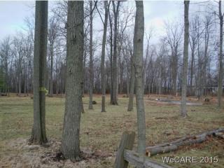 19612 Louth Rd, Spencerville, OH 45887-9056
