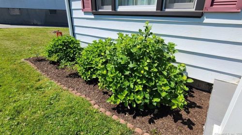 4 5th St, Danbury CT  06810-5704 exterior