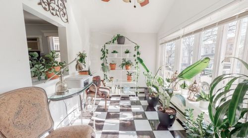 88-41 77th St, Jamaica, NY 11421-1033