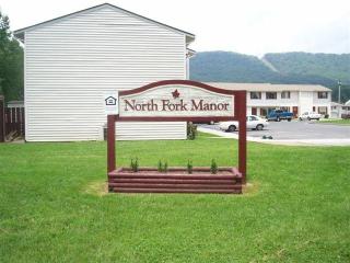 233 Elizabeth St, Saltville, VA 24370-3278