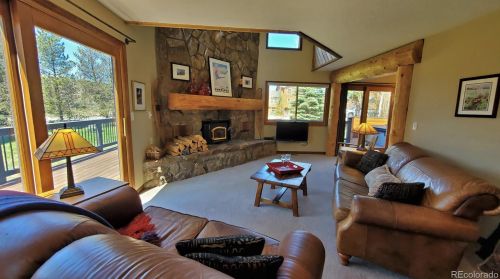 290 Tally Ho Ct, Montezuma, CO 80435-8373