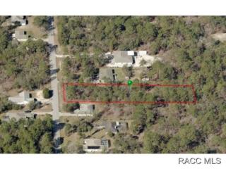 1651 Bismark St, Hernando, FL 34442-4509