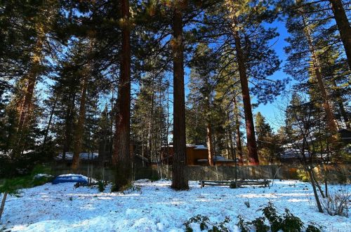 788 Tahoe Keys Blvd, South Lake Tahoe CA  96150-3301 exterior