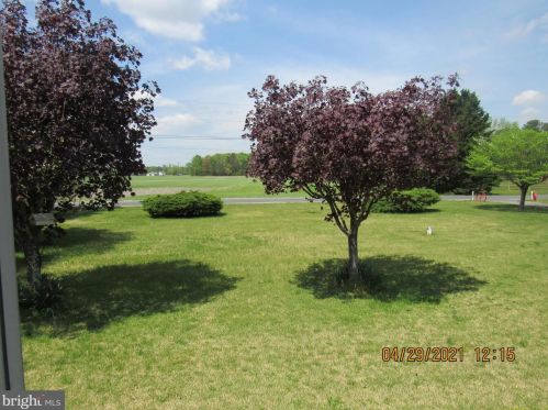 20697 Cool Spring Rd, Milton DE  19968-3225 exterior