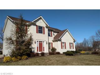 11531 Olde Stone Ct, Concord Township OH  44077-8933 exterior