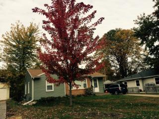 19 Leamer Ct, Iowa City IA  52246-3229 exterior