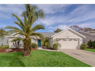 8903 Warrior Way, Port Richey, FL 34667-2769