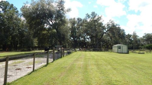 17639 Palamino Lk Dr, Dade City FL 33523-1949 exterior