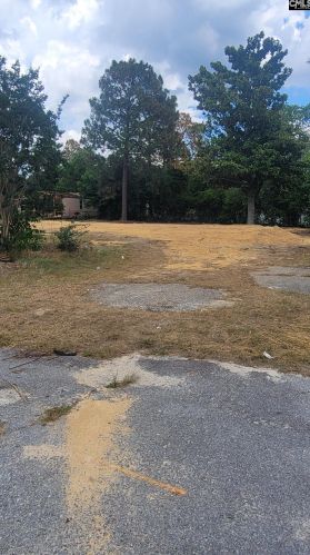 1144 Brown Blvd, Lexington SC  29073-8973 exterior