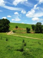964 Crystal Springs Dr, Bland, VA 24315