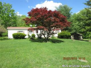 1170 Dymond Rd, Sundown, NY 12740-4921