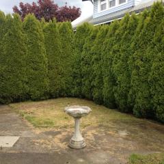 905 Washington Ave, Waunch Prairie, WA 98531-4829