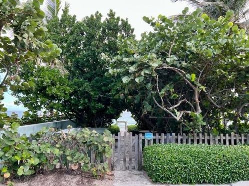 1171 Ocean Way, Palm Beach FL  33480-3233 exterior