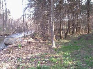 5641 Bishop Rd, Smithville, NY 13605-2234