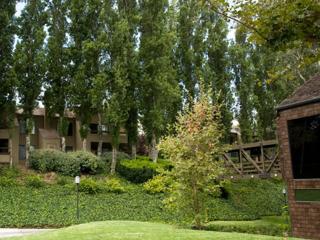 541 Baywood Dr, Newport Beach CA  92660-7141 exterior