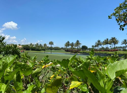 156 Windward Dr, West Palm Beach, FL 33418-4011