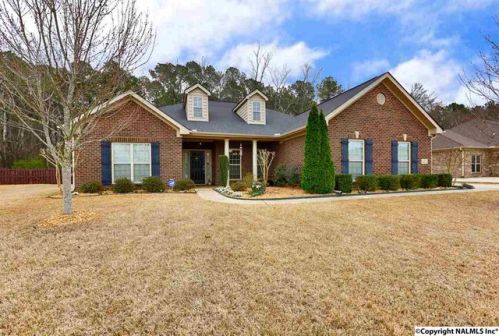 127 Sage Willow Dr, Madison, AL 35756-8286