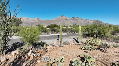 1202 Chula Vista Rd, Tucson AZ  85704-3008 exterior