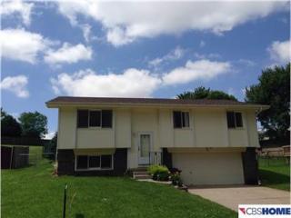 1114 Overland Trl, Omaha NE  68046-3728 exterior
