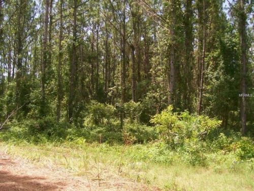160 Big Lake Dr, Deltona, FL 32738-9356