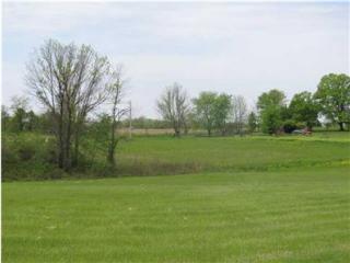 9720 Heigle Rd, Stoutsville, OH 43154-9591
