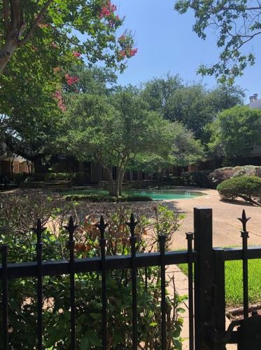 12921 Abrams Rd, Dallas TX  75243-2165 exterior