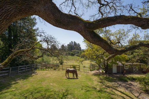 6499 Lone Pine Rd, Sebastopol CA  95472-5622 exterior