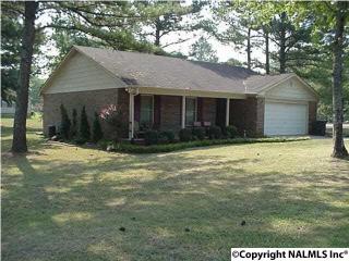 131 Dusty Trl, Madison AL  35758-7802 exterior
