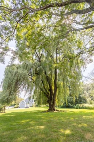 10 Willow Green Way, Glastonbury CT  06033-2276 exterior