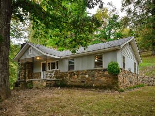 45 Blackstone Ave, Asheville, NC 28804-1203