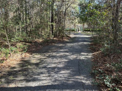 2004 Amenity Park Dr, Mount Pleasant SC  29466-6022 exterior