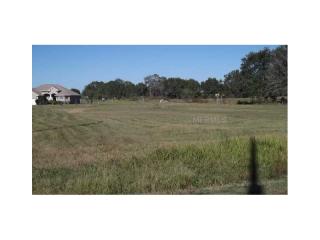5204 Ruth Morris Rd, Wimauma, FL 33598-4137