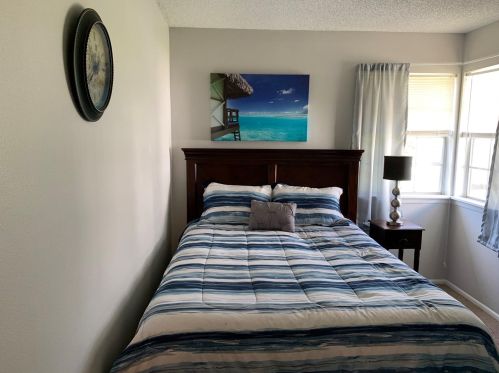 3343 Hibiscus Dr, Palm Harbor FL  34684-3428 exterior