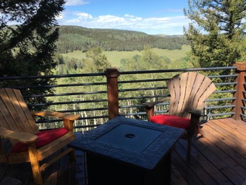 1750 Hazel Lake Dr, Cimarron CO  81220-9527 exterior