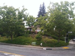 709 Thornhill Rd, Danville CA  94526-3636 exterior