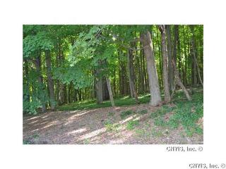 2320 Wilson Dr, Martisco, NY