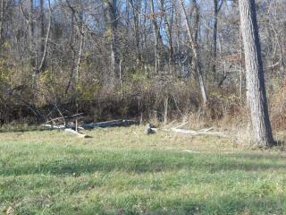 1270 Countryside Ln, Blmgtn, IN 47403-2955