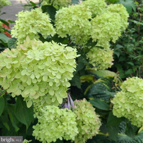 1139 Wilson Ave, Glen Mills PA  19342-9610 exterior