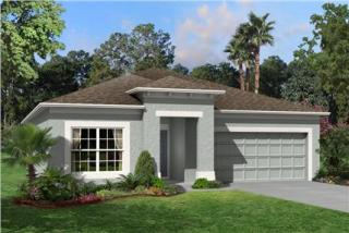 3933 90th Ave, Parrish FL  34219-2218 exterior