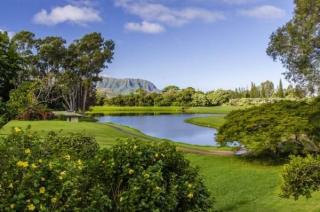 4173 Kalani Pl, Princeville, HI 96722-5428