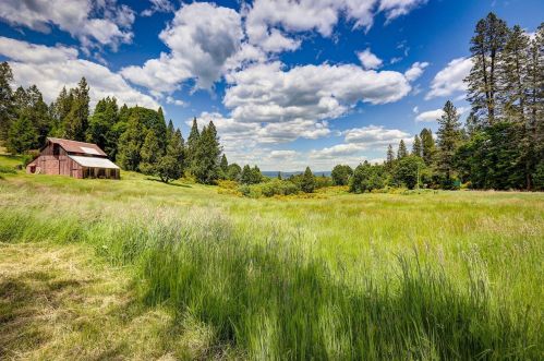 29658 State Highway 49, North San Juan, CA 95960-9544